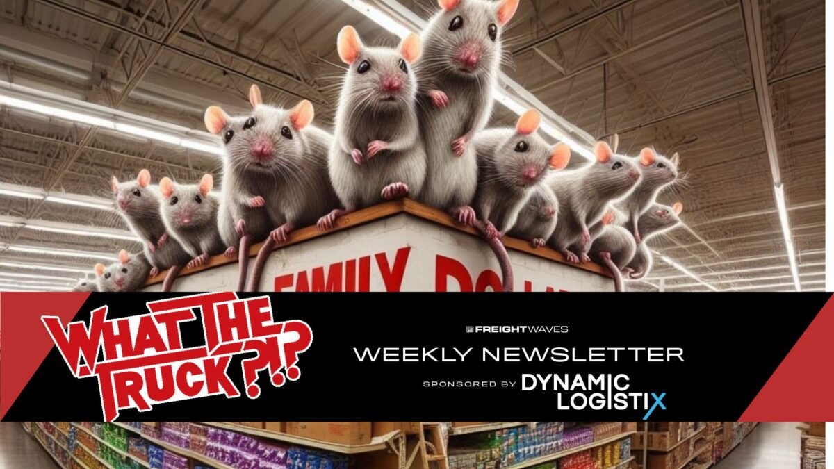 family-dollar’s-$41m-warehouse-mouse-infestation