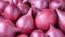 Onion Export Ban Indian Government Gives Green Light For Onion Shipments To These Countries