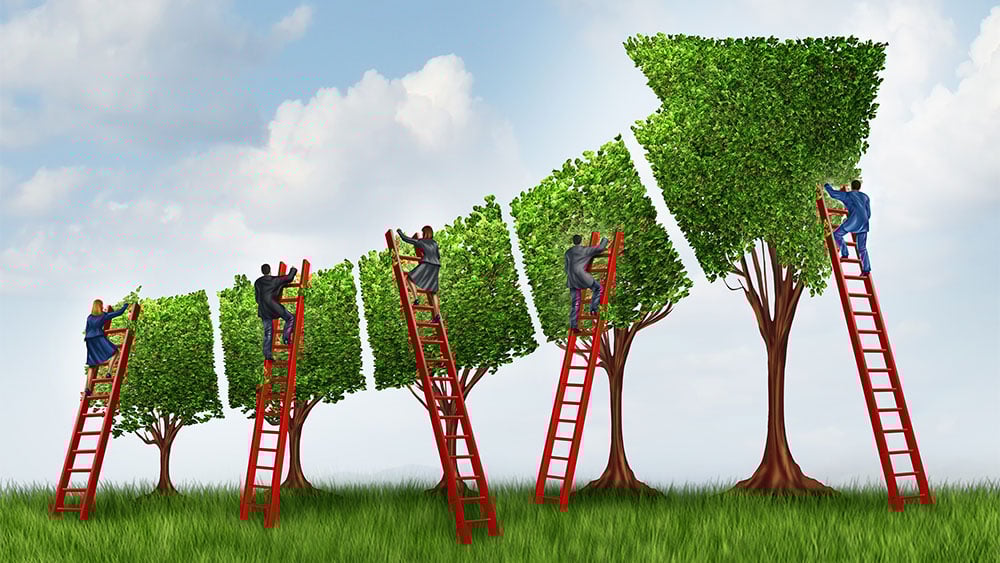 stock-market-forecast:-is-it-possible-to-tell-the-market’s-future?
