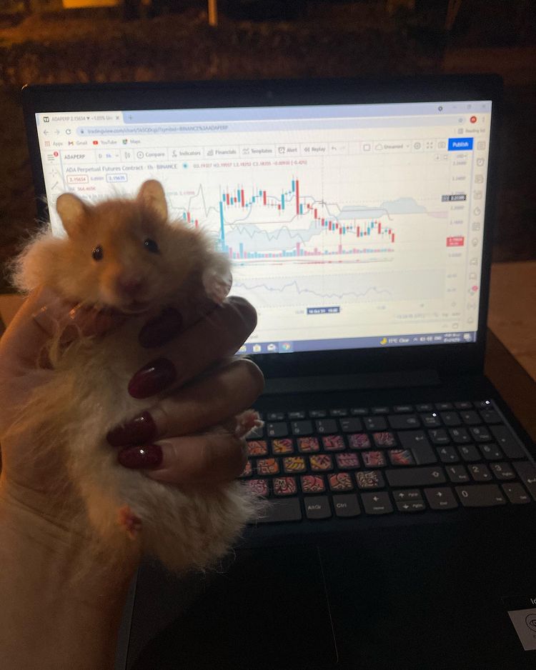 TradingView Chart on Instagram @imelycka