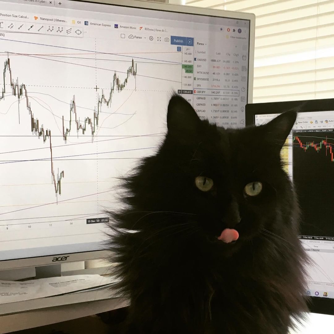 TradingView Chart on Instagram @chuckindex