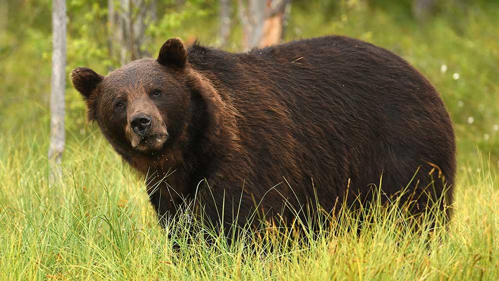 stock-market-indexes-break-another-support-level-as-bearish-signals-add-up