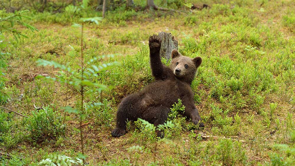 stock-market-sell-off-sparks-this-change;-inflation-data,-earnings-deluge-next