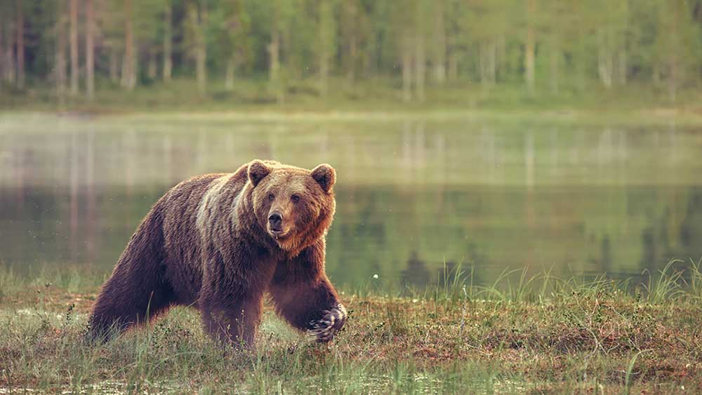 dow-jones-futures-loom-after-nvidia,-super-micro-plunge;-tesla-slashes-prices-with-earnings-due