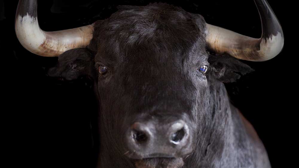 tech-futures-jump-on-google,-microsoft