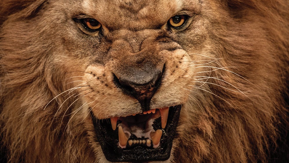 7-stocks-flash-buy-signals-as-market-roars;-watch-out-for-this