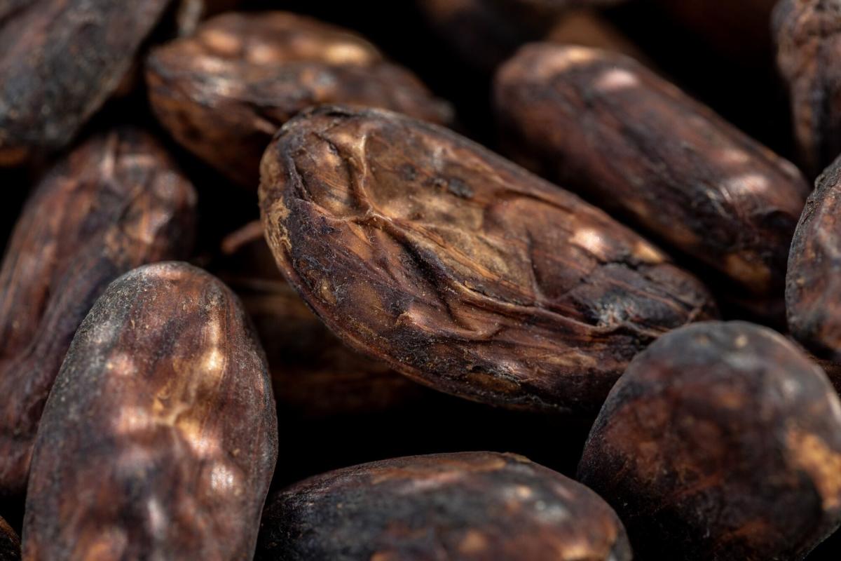 cocoa-plunges-most-ever-with-trader-exodus-sparking-huge-moves