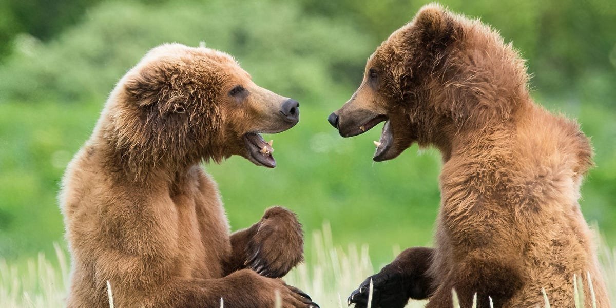 from-a-65%-stock-market-crash-to-an-imminent-recession,-here’s-a-roundup-of-recent-high-profile-bear-forecasts