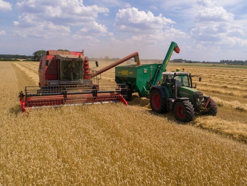 global-wheat-stocks-dwindle-for-fifth-straight-year,-intensifying-export-competition