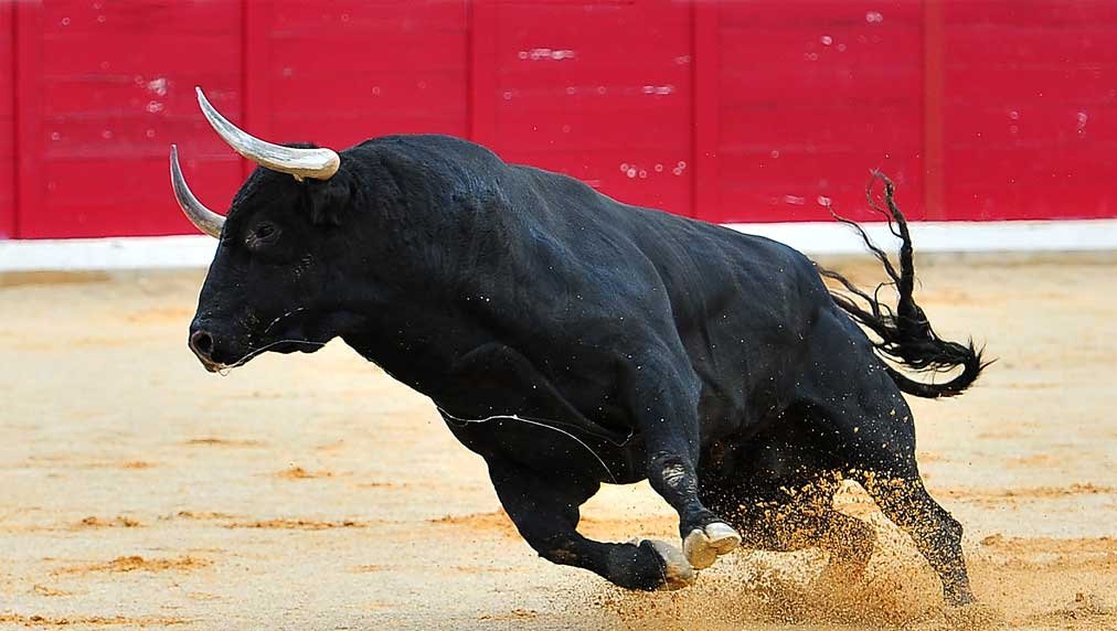 market-outlook-gets-a-boost;-these-sectors-thrive