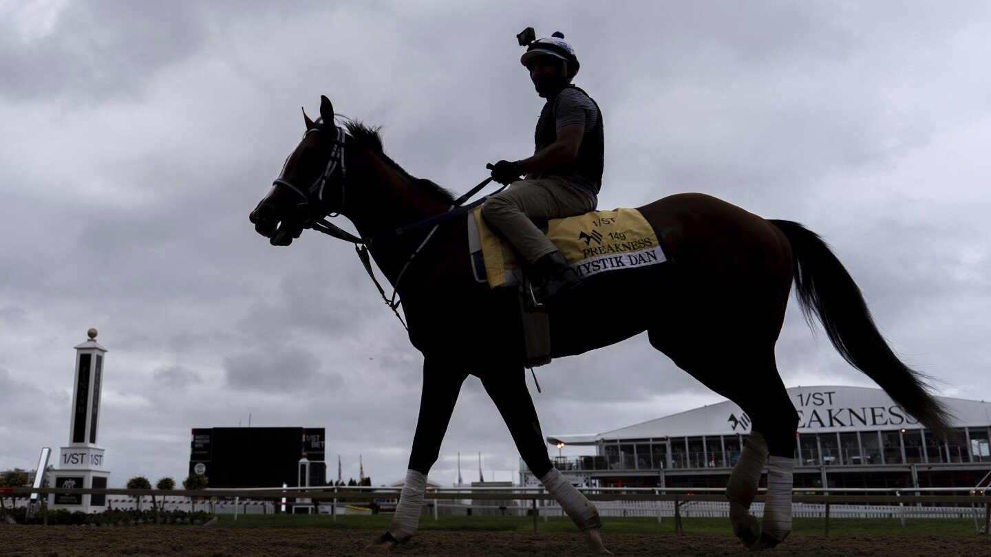 kentucky-derby-winner-mystik-dan-takes-on-7-other-horses-in-the-149th-preakness