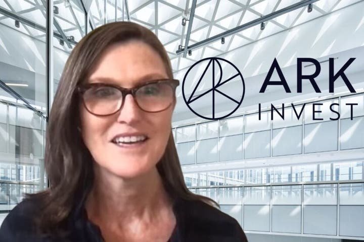 ark-invest’s-cathie-wood-snags-these-3-bargains-—-are-they-right-for-your-portfolio?