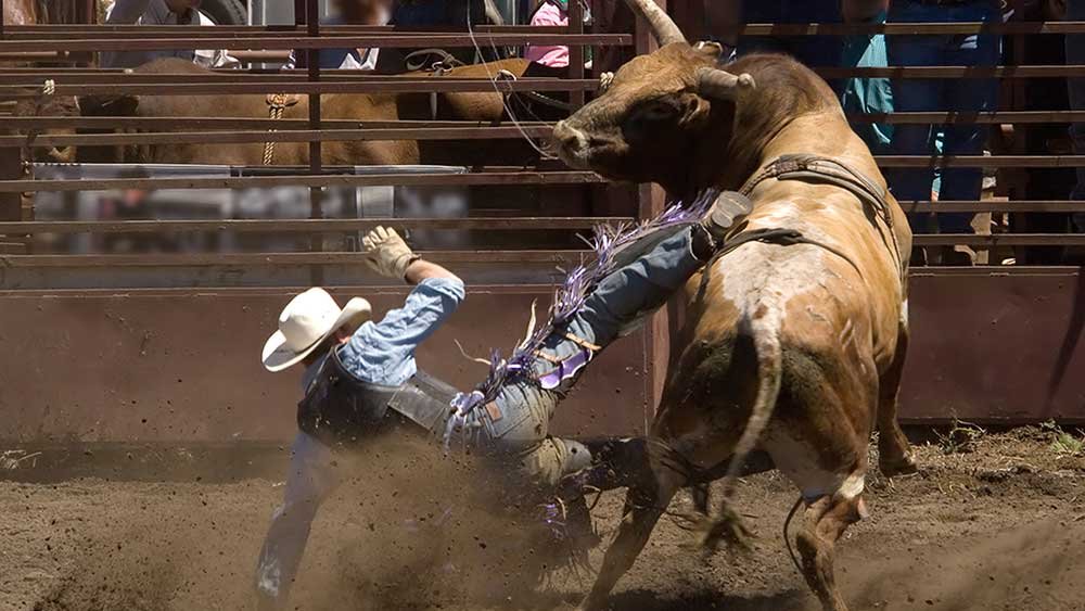 dow-sinks-411-points,-bulls-slapped-by-rising-rates