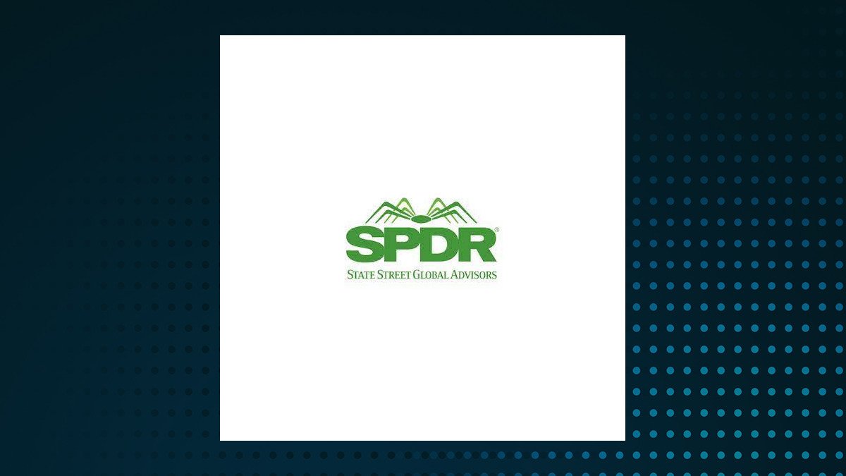 SPDR Portfolio MSCI Global Stock Market ETF logo