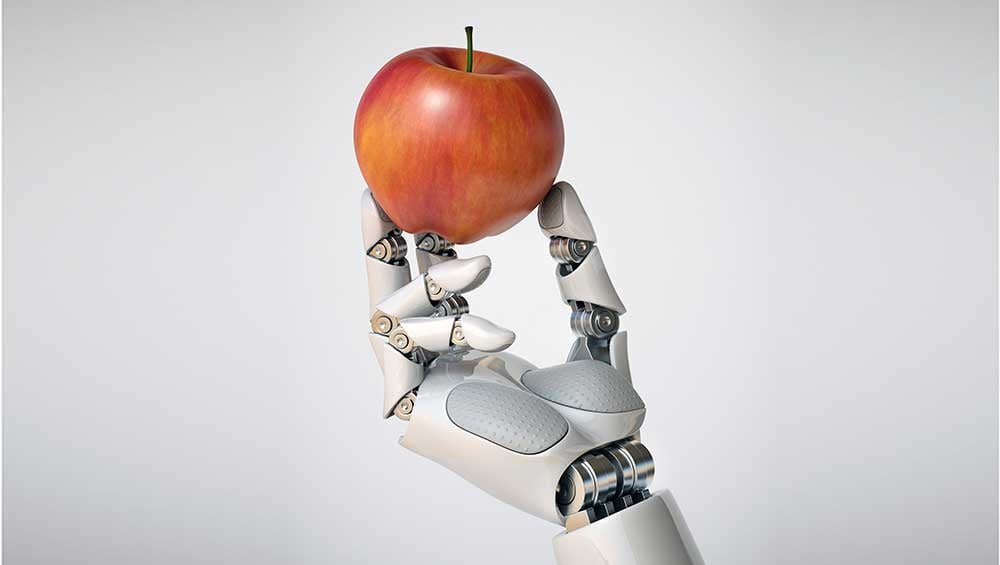 apple-ai-push,-fed,-tesla-in-focus;-how-to-handle-this-rally