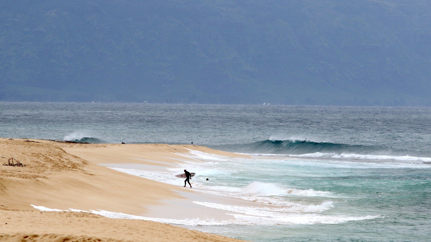 hawaii-lifeguard-dies-in-shark-attack-while-surfing-off-oahu