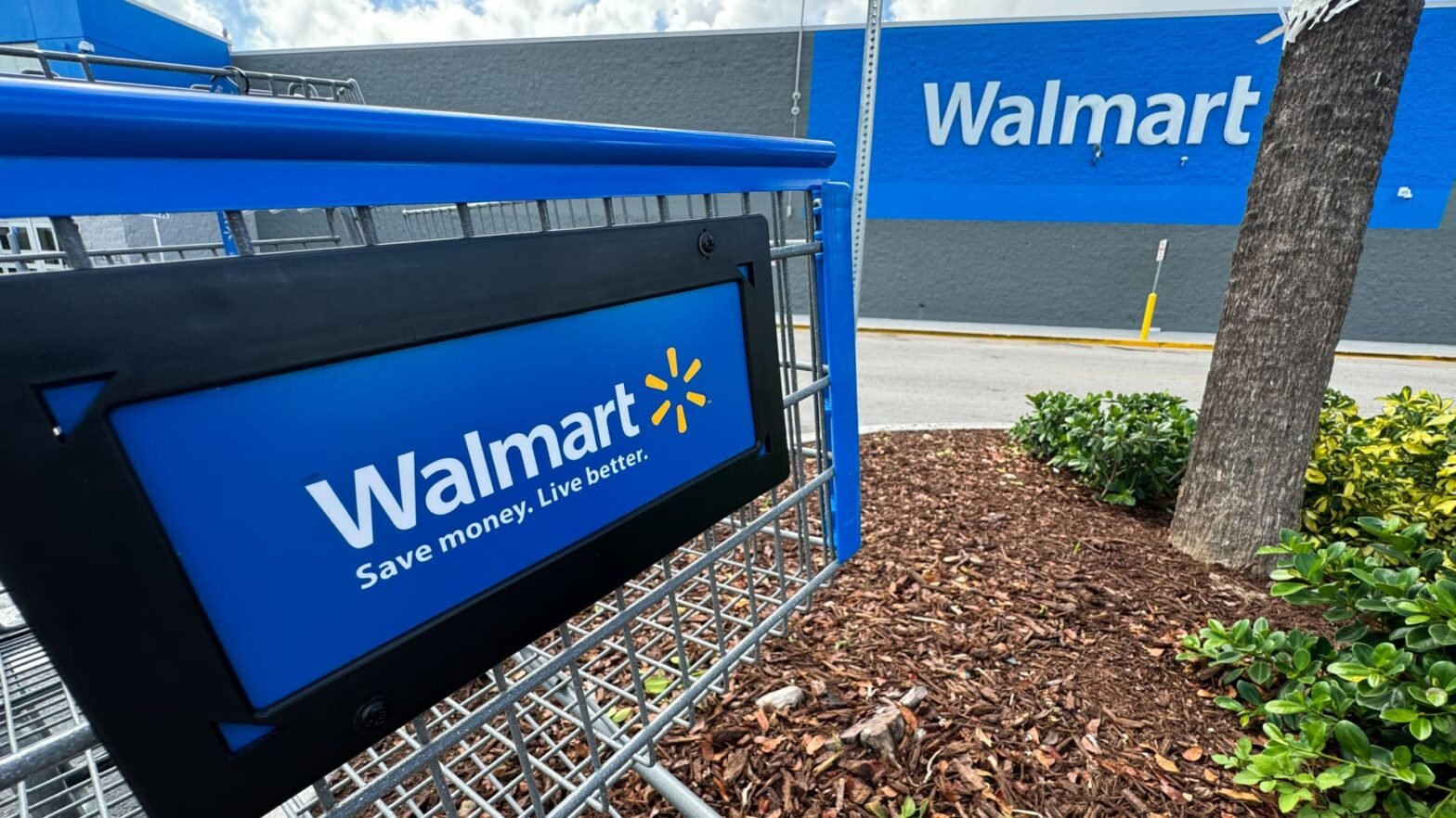 here-are-oppenheimer’s-top-stock-picks-heading-into-july