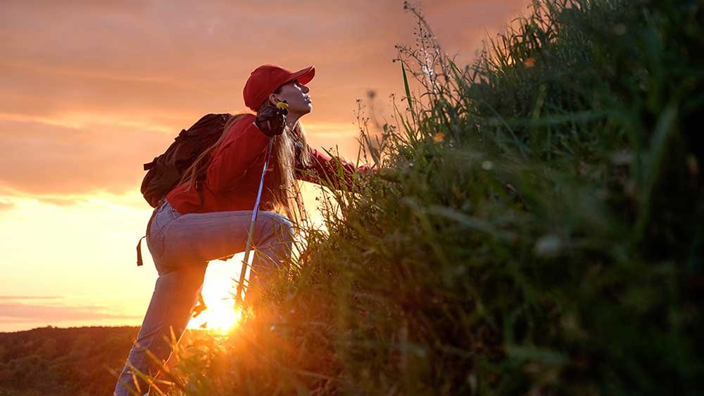 market-power-trend-intact;-tesla,-these-5-stocks-in-buy-zones