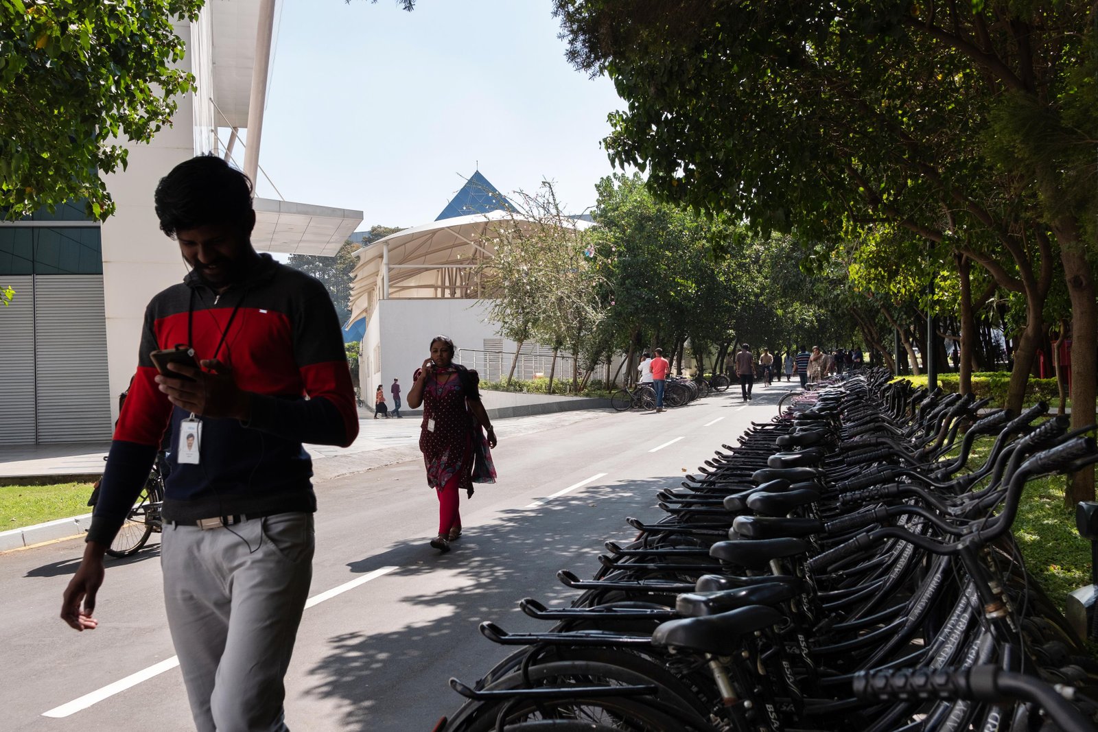 IT industry, IT companies, IT sector