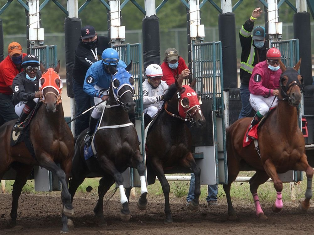 Peter Hodson has some tips for investors to stay ahead of the pack.