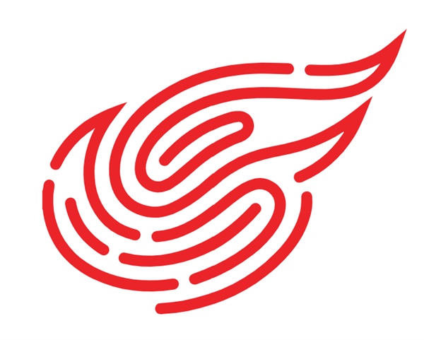 NetEase logo