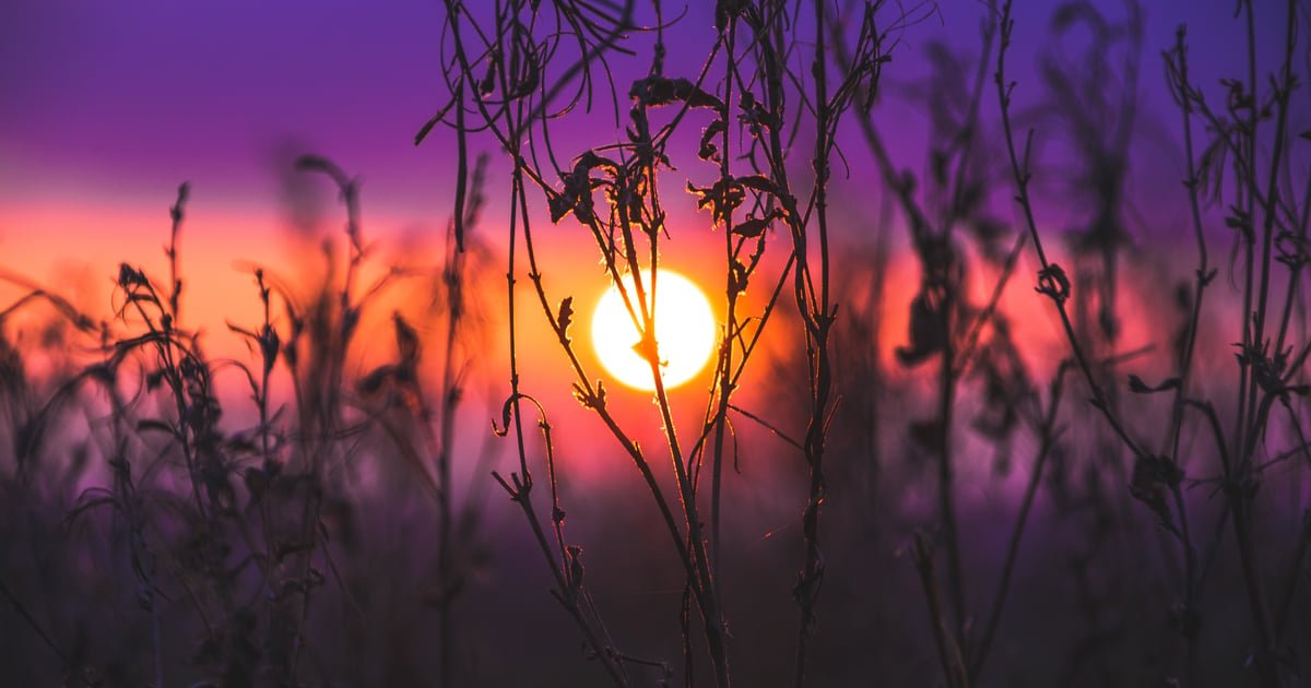 stock-market-today:-all-you-need-to-know-before-going-into-trade-on-july-3