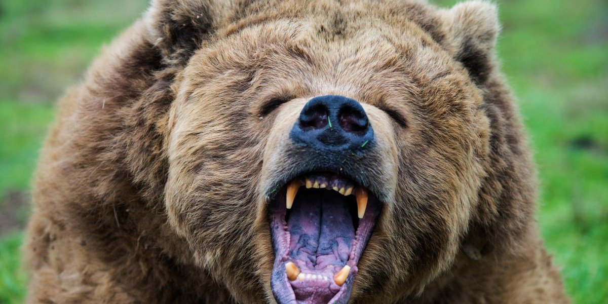 are-the-bears-right-about-the-outlook-for-the-s&p-500?