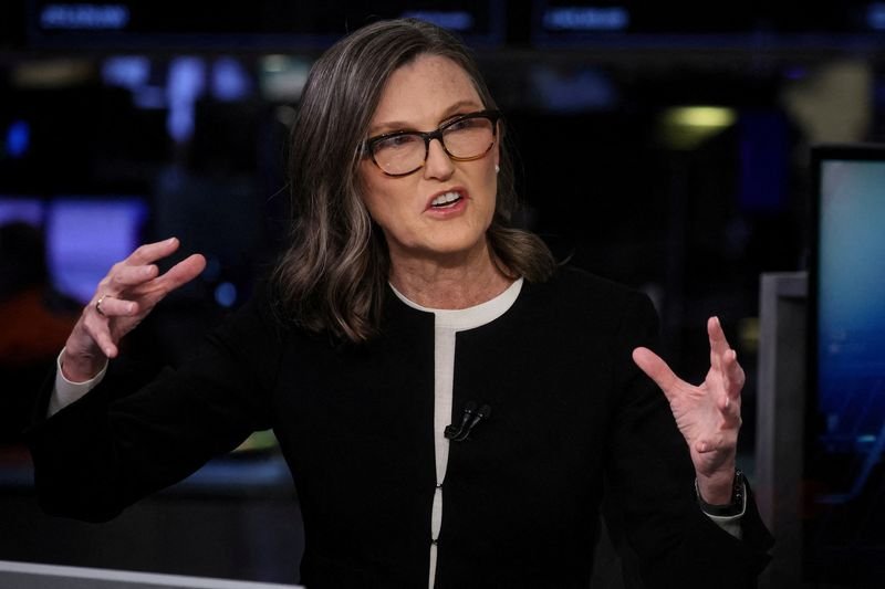 ark-investment’s-cathie-wood-defends-strategy-in-letter-to-investors
