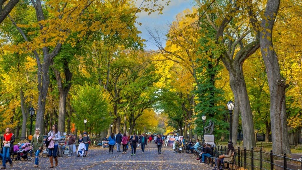 new-yorkers-react-to-retirement-numbers,-exclaiming-‘who-could-save-that-much?’