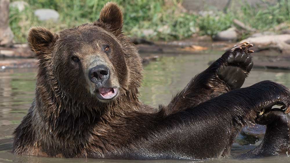 nasdaq-smacked-by-chip-sell-off;-dow-stock-breaks-out