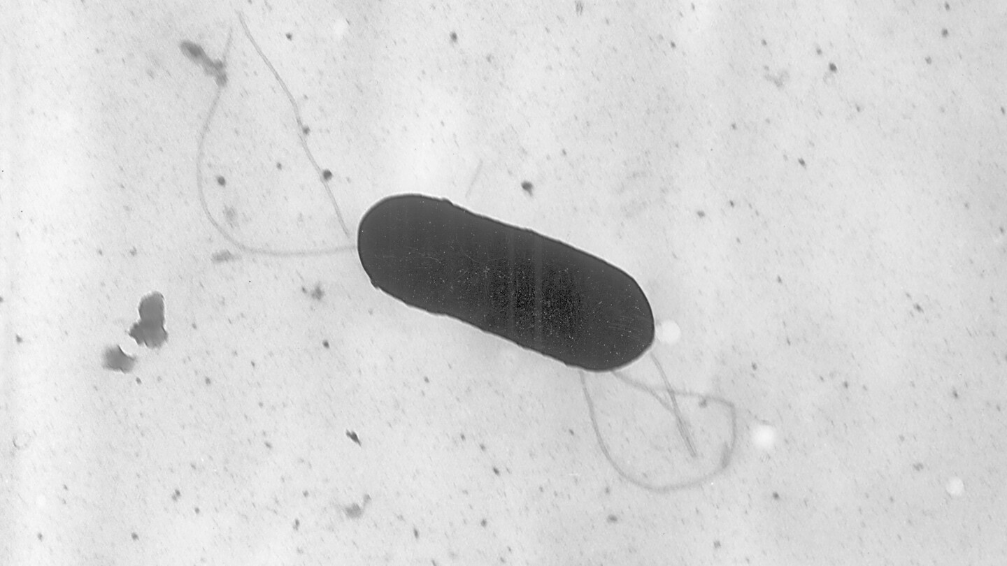two-deaths-linked-to-listeria-food-poisoning-from-meat-sliced-at-deli-counters