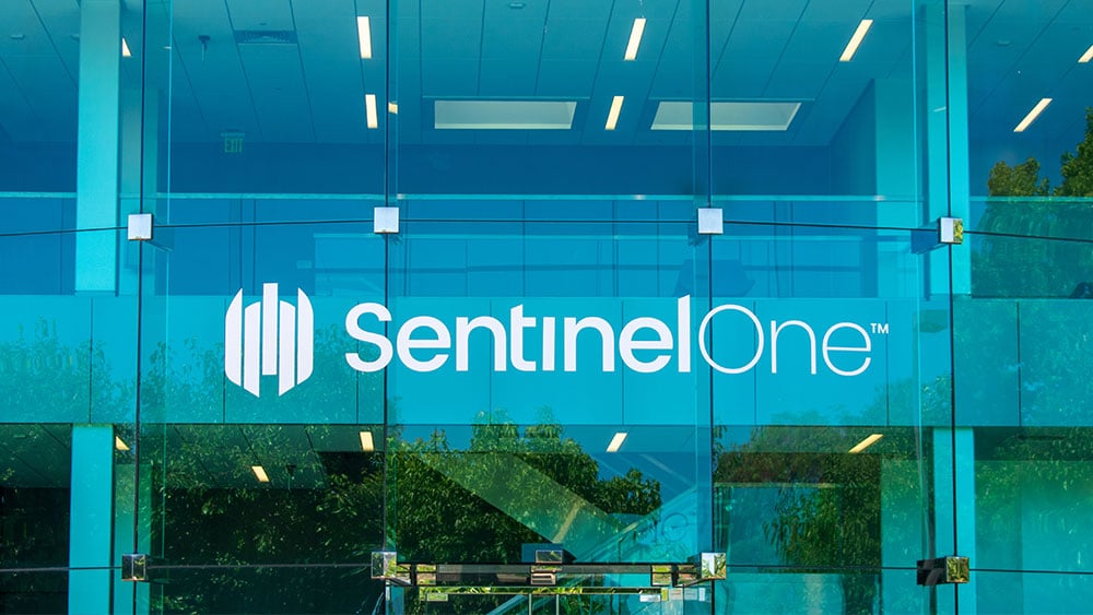 crowdstrike-plunges,-rivals-sentinelone,-palo-alto-gain-amid-it-outage