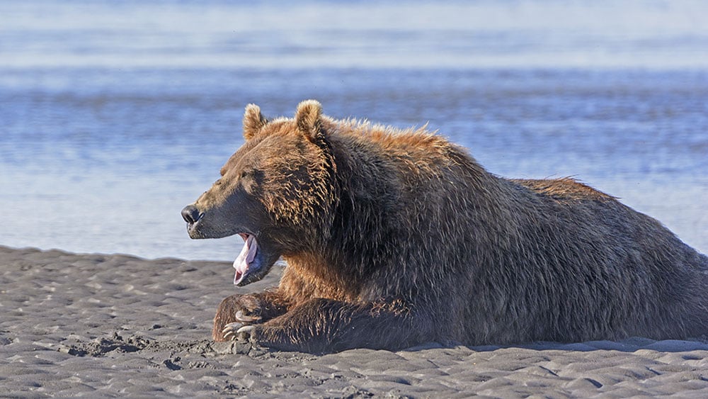 stocks-end-mixed;-is-lower-volatility-welcome?