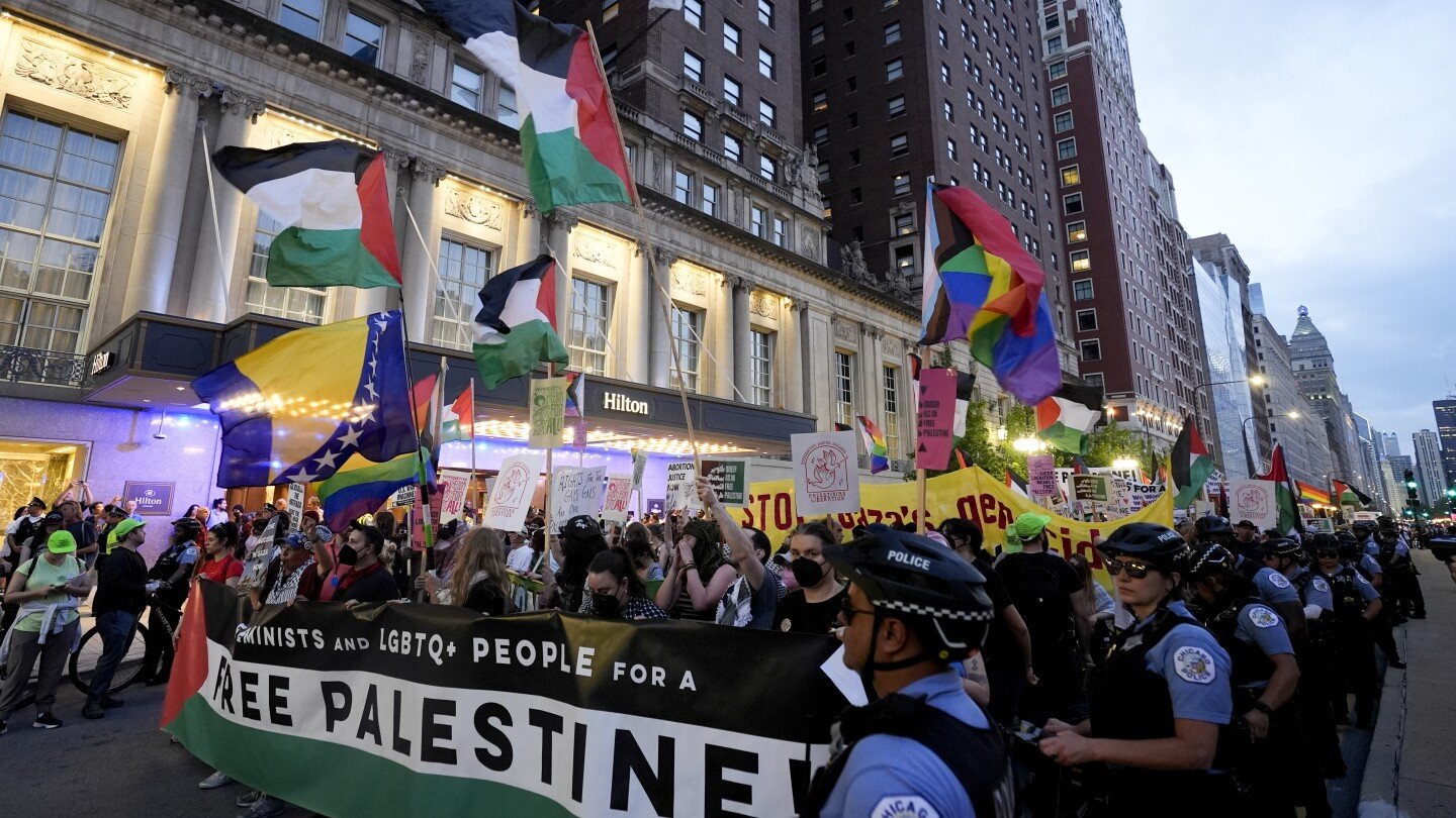 thousands-of-activists-expected-in-chicago-for-democratic-convention-to-call-for-gaza-ceasefire