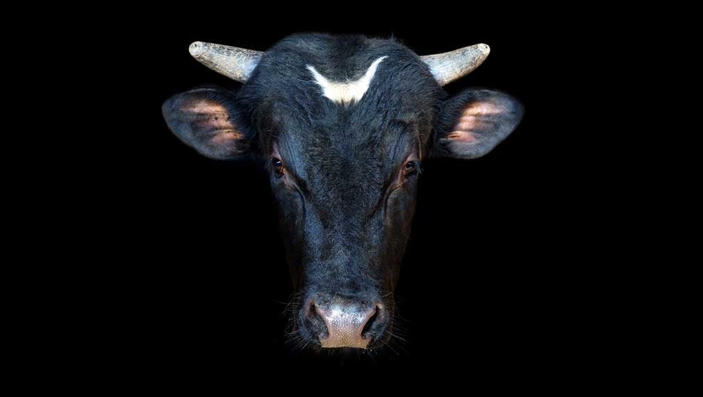 dow-jones-futures-fall-with-us.-markets-closed;-tesla-rival-leads-7-stocks-in-buy-zones