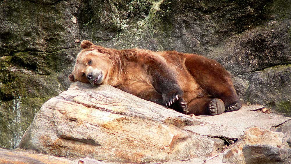 stocks-lag-to-start-shortened-week-under-nvidia’s-dark-cloud