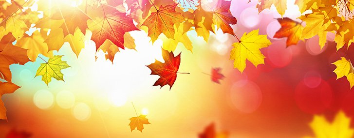 what-falling-interest-rates-may-mean-for-the-stock-market