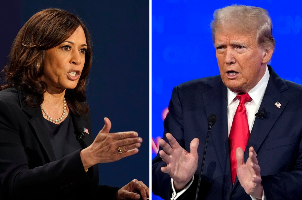 ‘serious-energy-deflation’-is-coming-whether-trump-or-harris-wins,-says-analyst