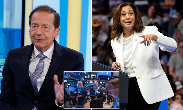 stock-market-visionary-reveals-move-he’ll-make-if-kamala-wins