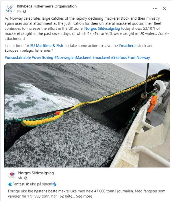 KFO overfishing Norwegian mackerel