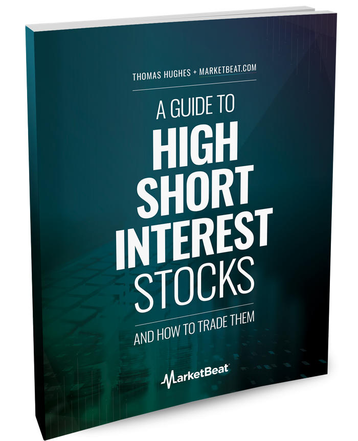 A Guide To High-Short-Interest Stocks Cover