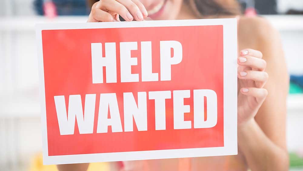 dow,-nasdaq-celebrate-jobs-report;-palantir-on-the-move-(live-coverage)