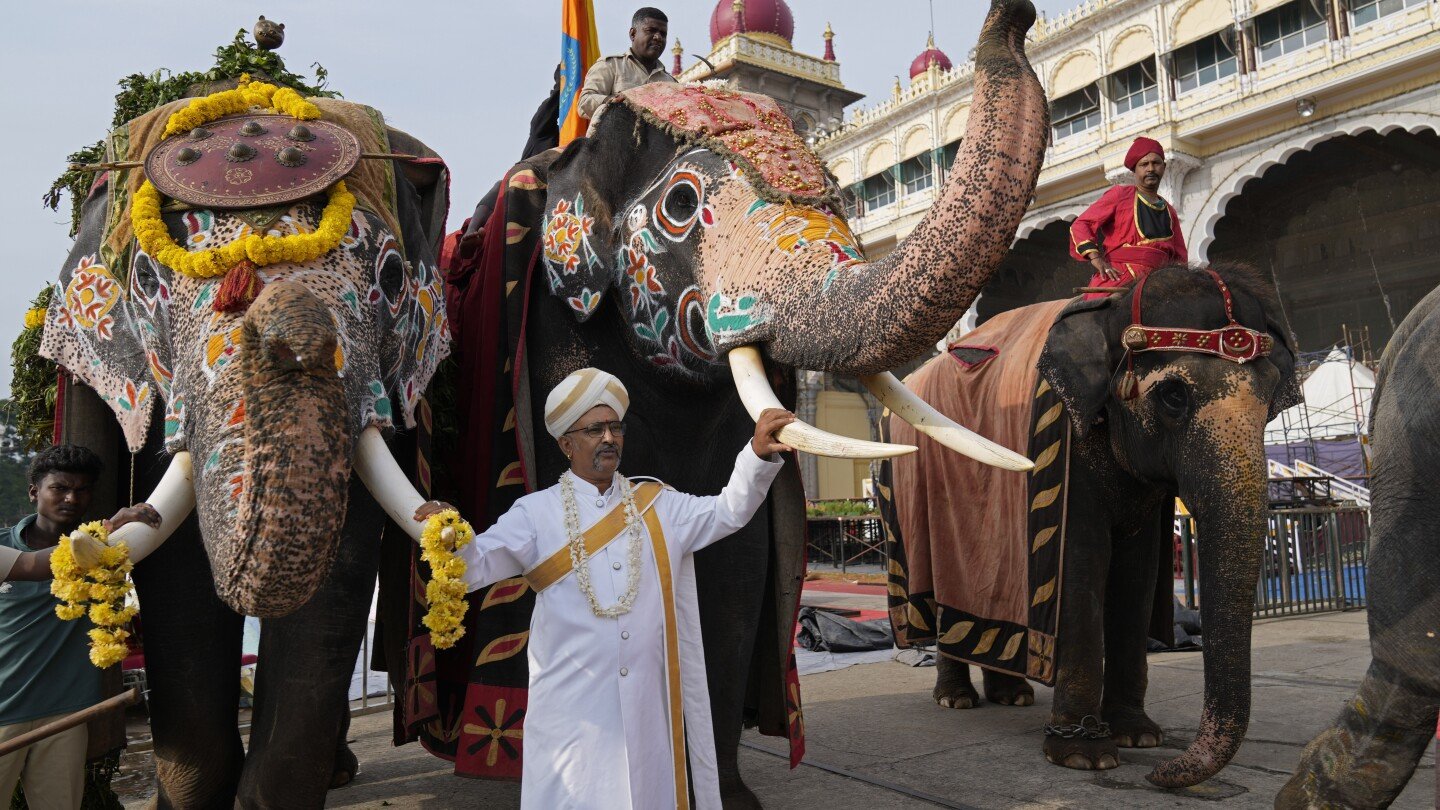 ap-photos:-an-elephant-procession-for-dussehra-draws-a-crowd-in-the-former-mysore-kingdom