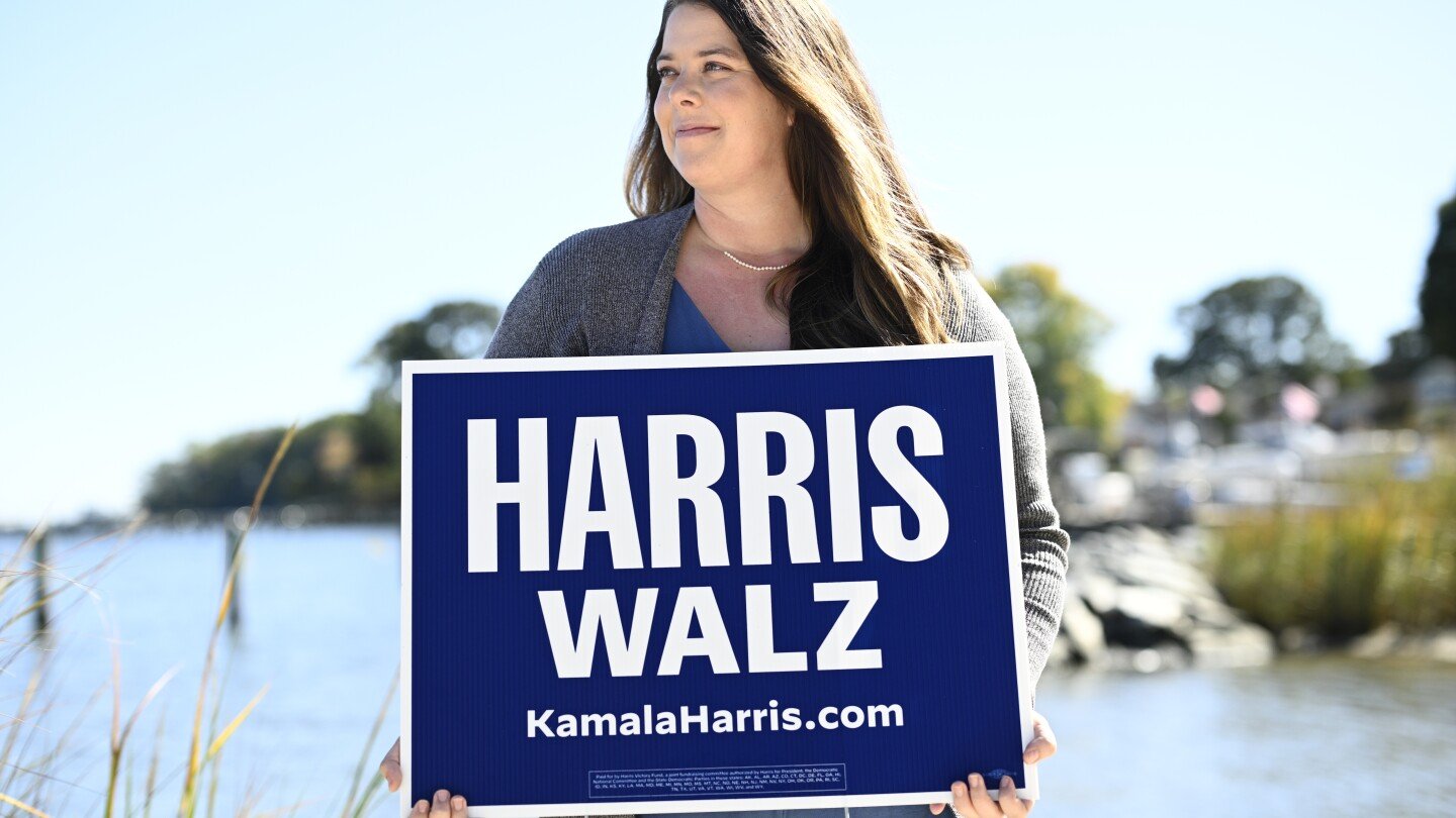 those-early-zoom-meetings-got-people-fired-up-for-harris.-now-they’re-trying-to-get-them-to-vote