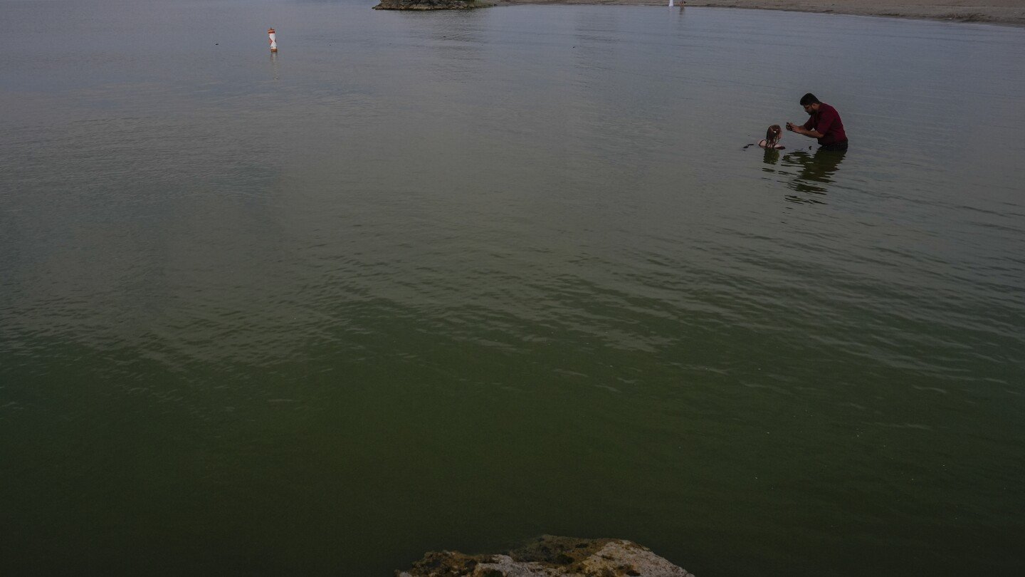 researchers-in-a-lab-near-lake-erie-study-how-toxic-algae-can-damage-health
