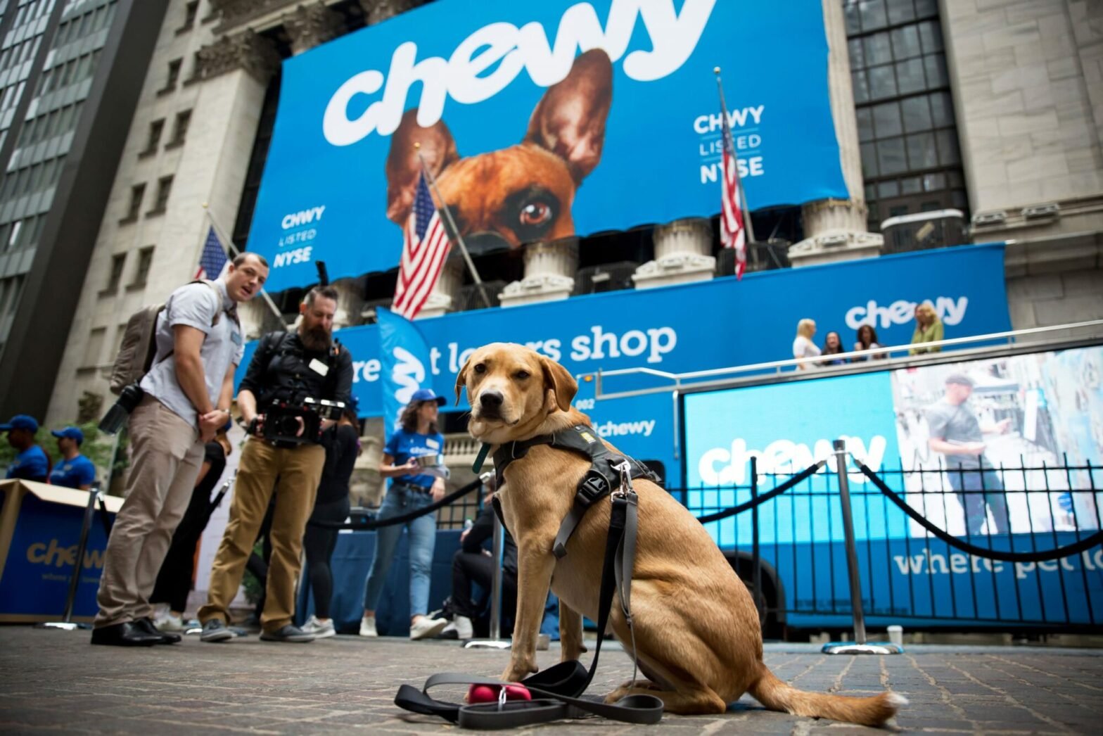 chewy-gains-new-analyst-coverage-as-e-commerce-surges