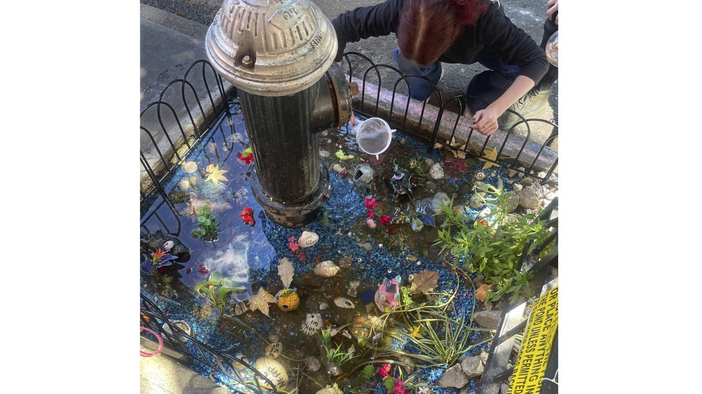 an-abrupt-goodbye-to-a-guerilla-goldfish-aquarium-beneath-a-leaky-brooklyn-fire-hydrant