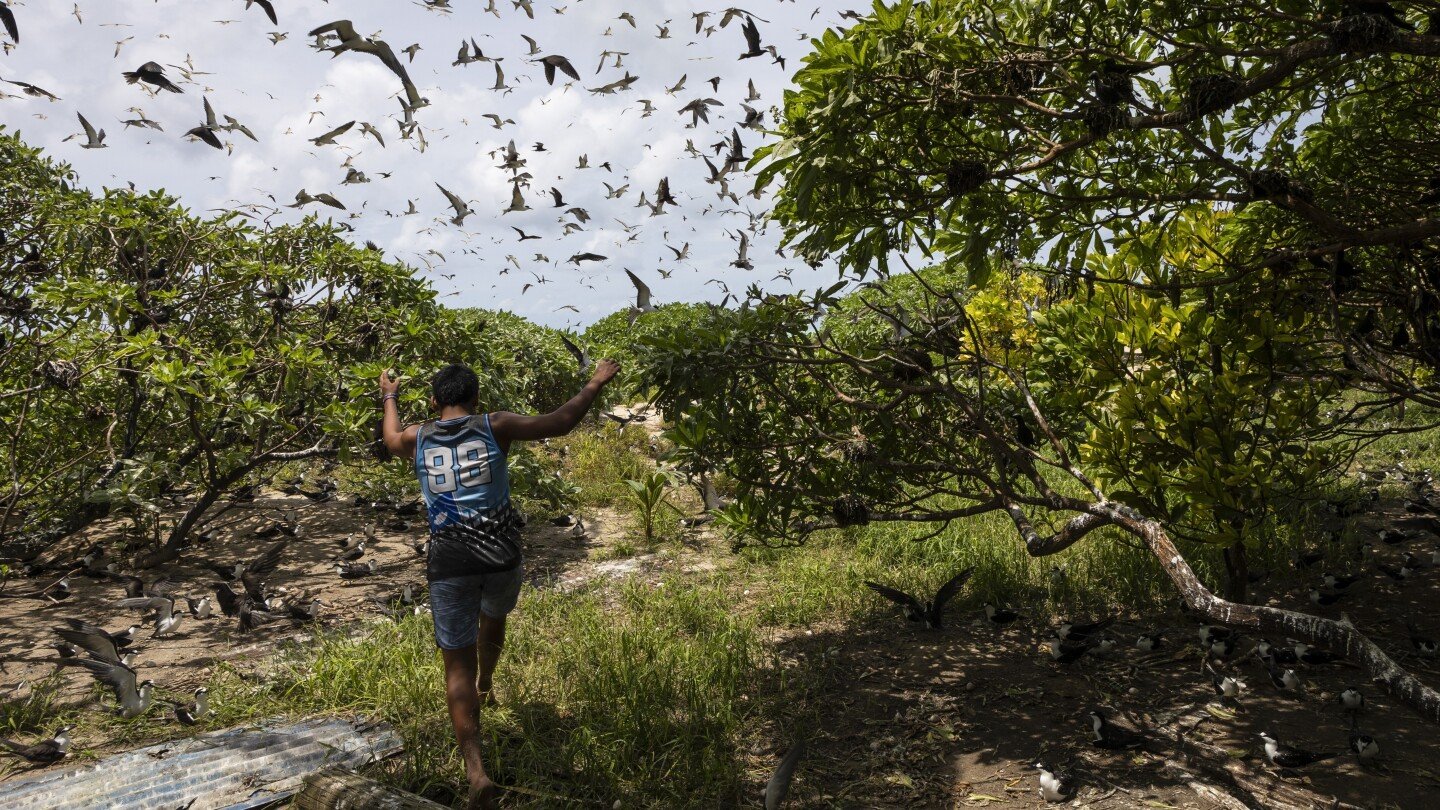 slight-progress-in-global-biodiversity-protection-efforts-but-some-species-decline,-new-reports-find