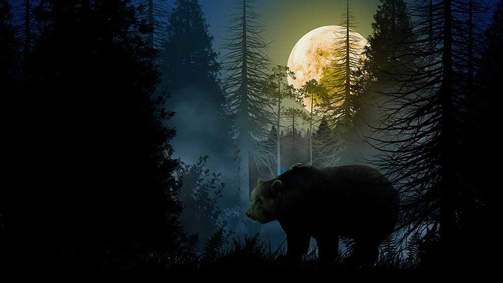 futures:-amazon,-apple-beat-after-market-sell-off