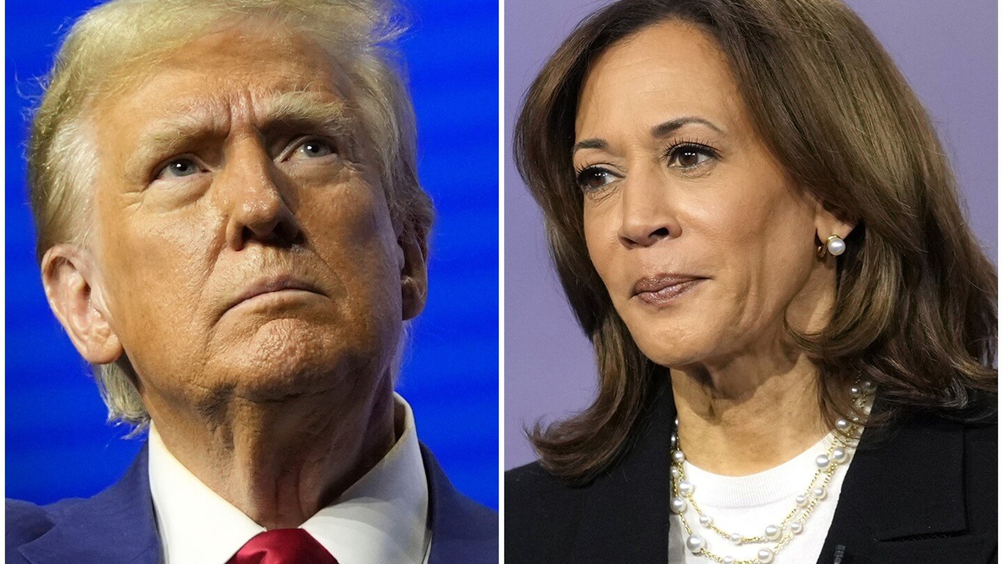 trump-and-harris-both-support-a-bigger-child-tax-credit.-but-which-families-should-get-it?